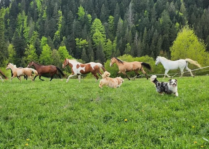 Деревянный коттедж Boronco *