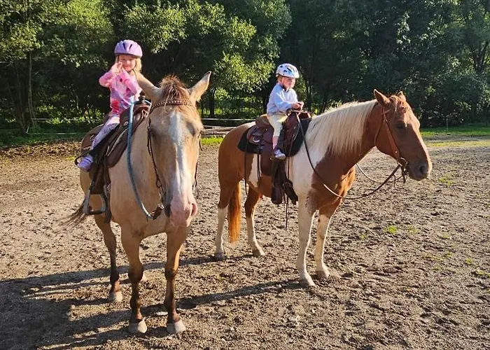 Boronco * Зазрива