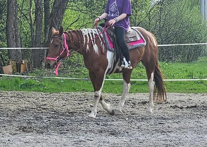 Boronco Деревянный коттедж *