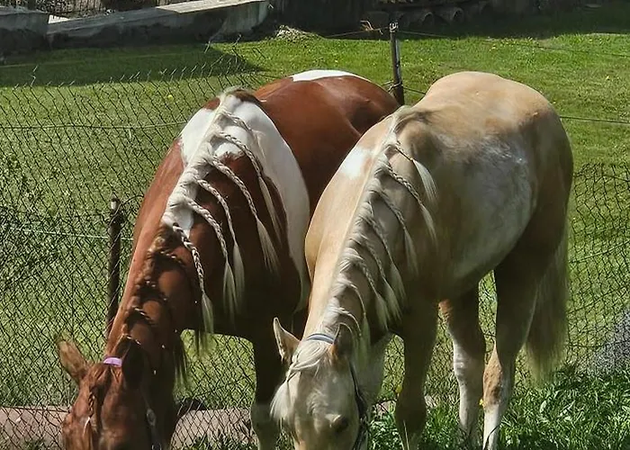 Boronco Деревянный коттедж Зазрива