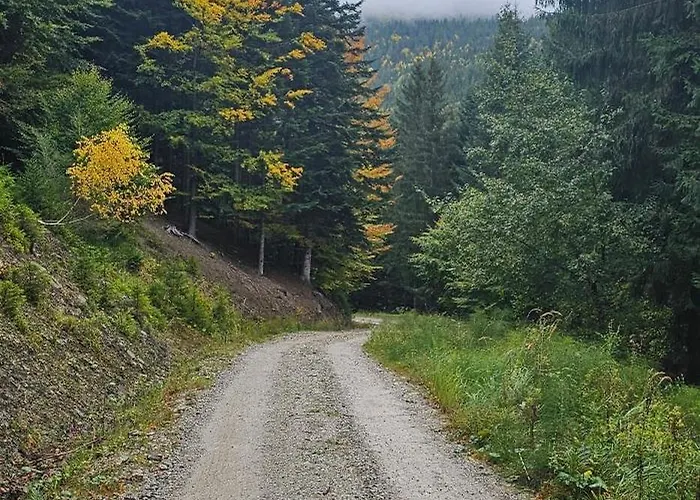 Boronco Деревянный коттедж